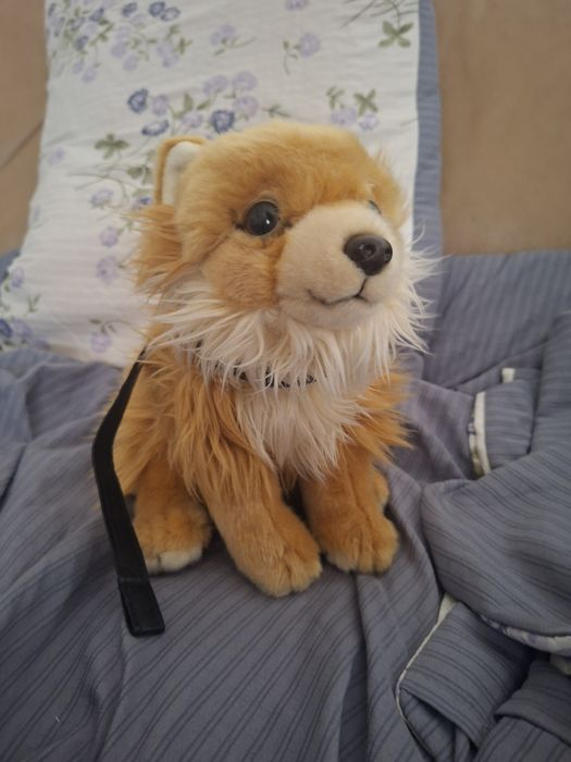 Шпиц игрушка продам