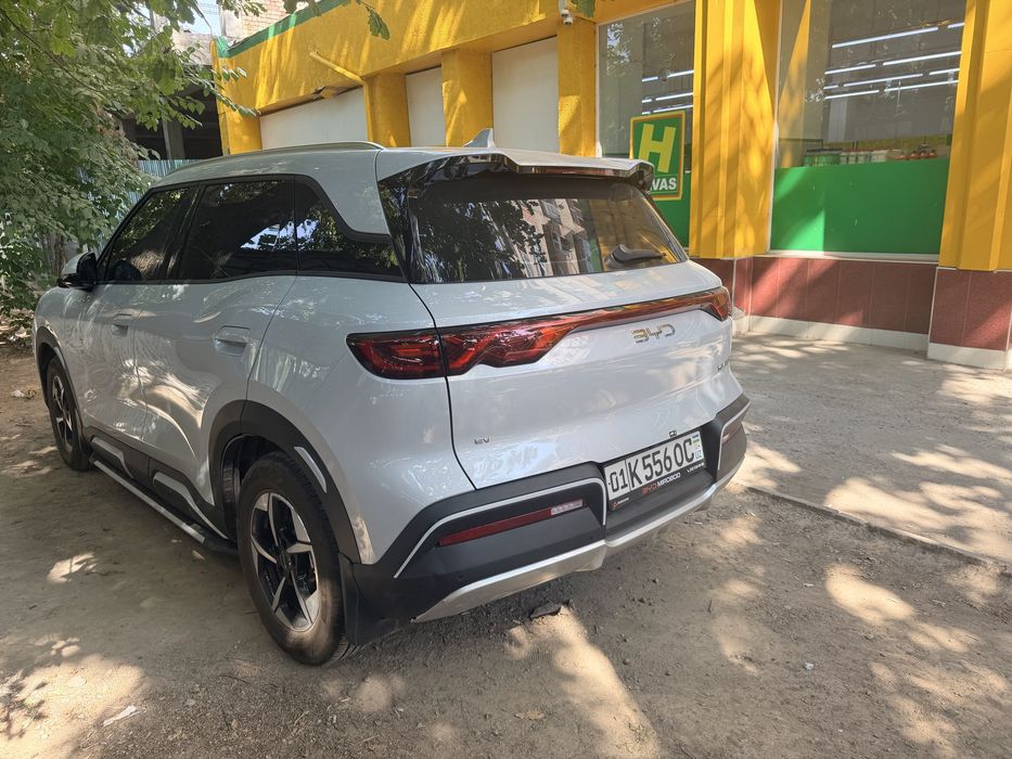 byd yuan up 2025