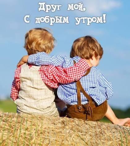 Друг на час. Собеседник.