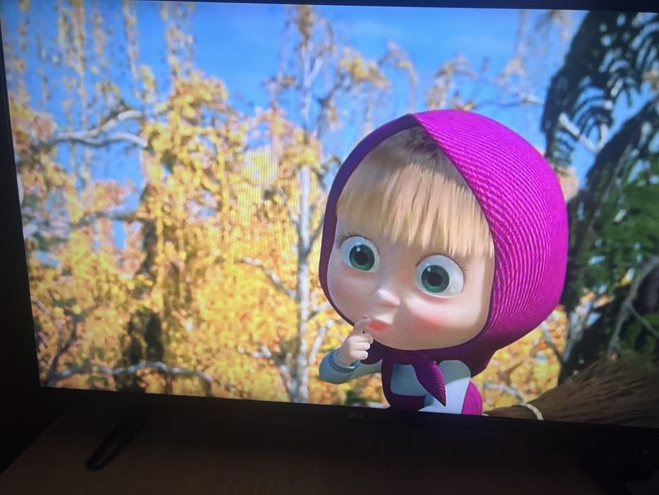 Телевизор LG 43 LH510V