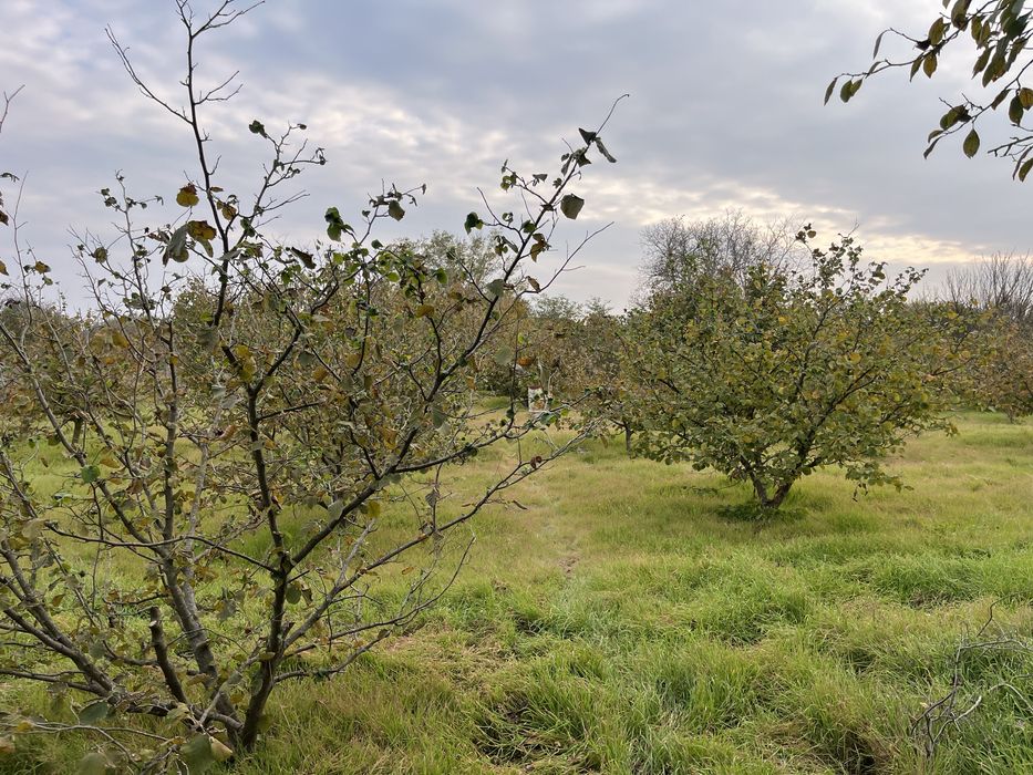 Продава се Къща в Добрич, Център - 100 кв.м за 281 €/кв.м - Снимка #5