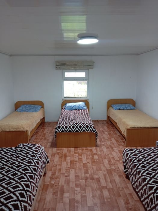 Сдам домики на сибинах