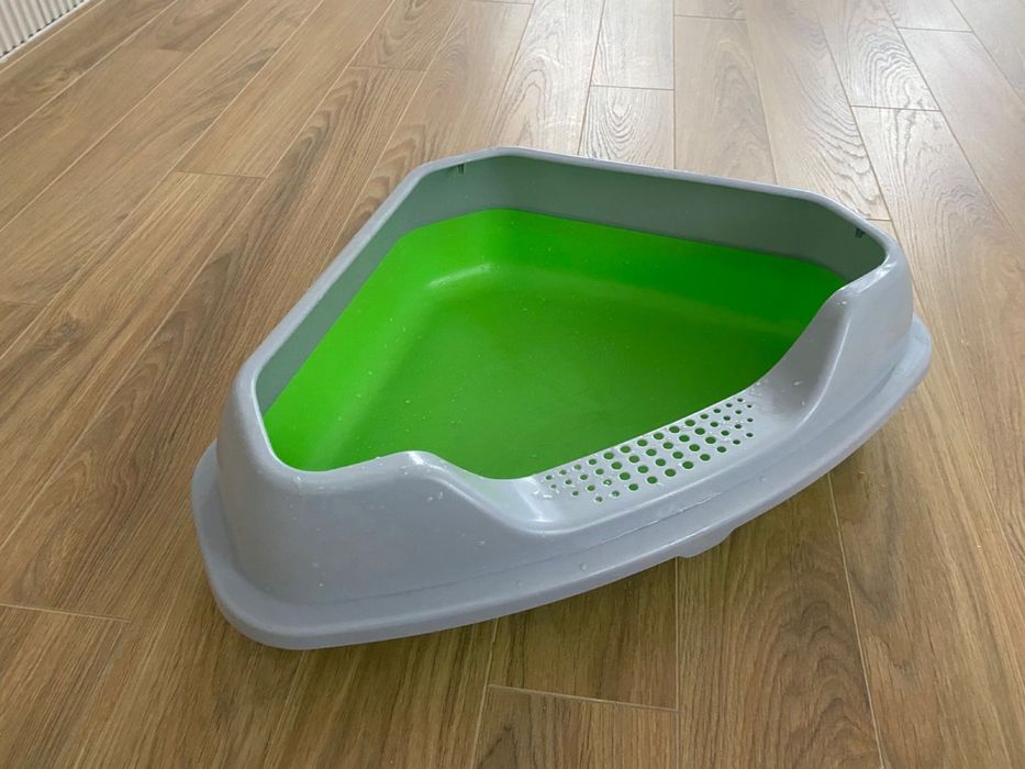 Латок для кошек и котенок