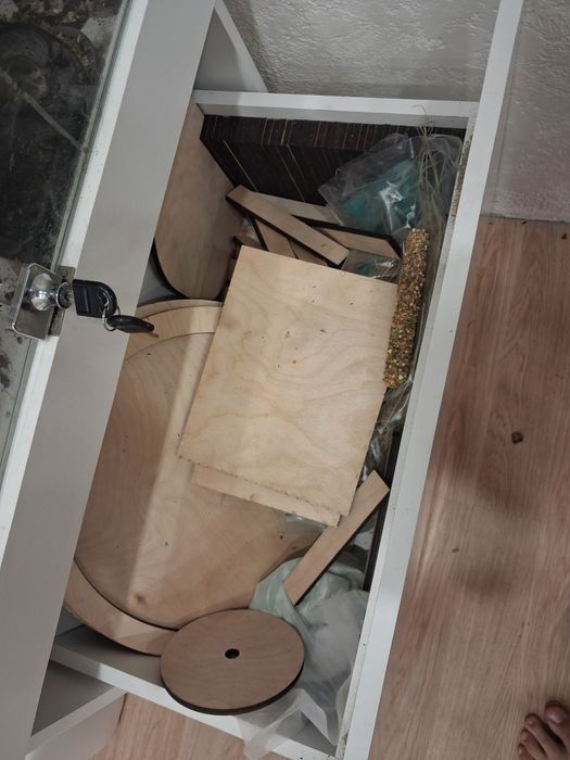 Шиншиллы с клеткой