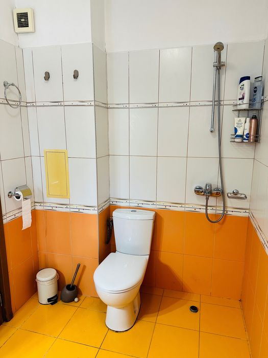 Тристаен апартамент в Павлово