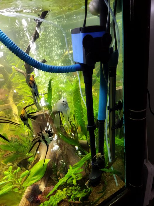 Заводской аквариум