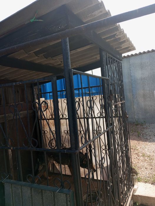 Собачий вольер продам