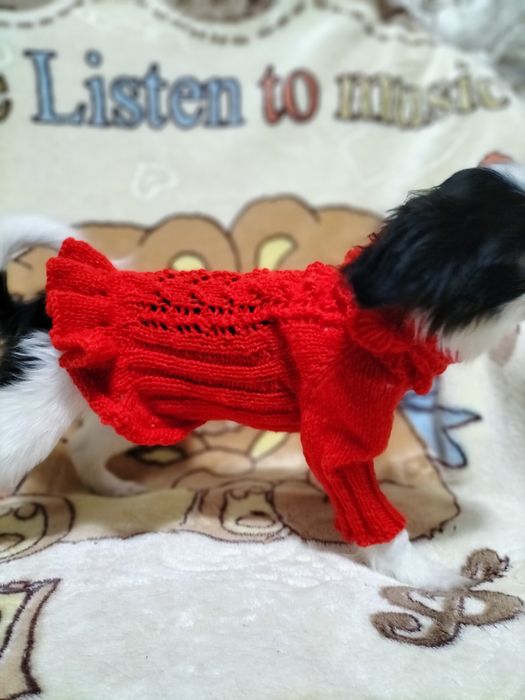 Вязанки для собак.