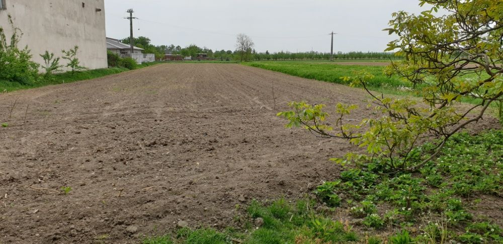 Vand CASA cu TEREN Ultracentral in Mediesu Aurit