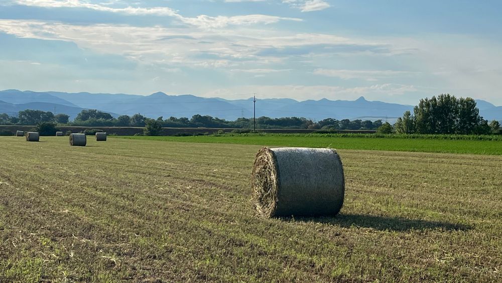 Baloți lucernă rotunzi