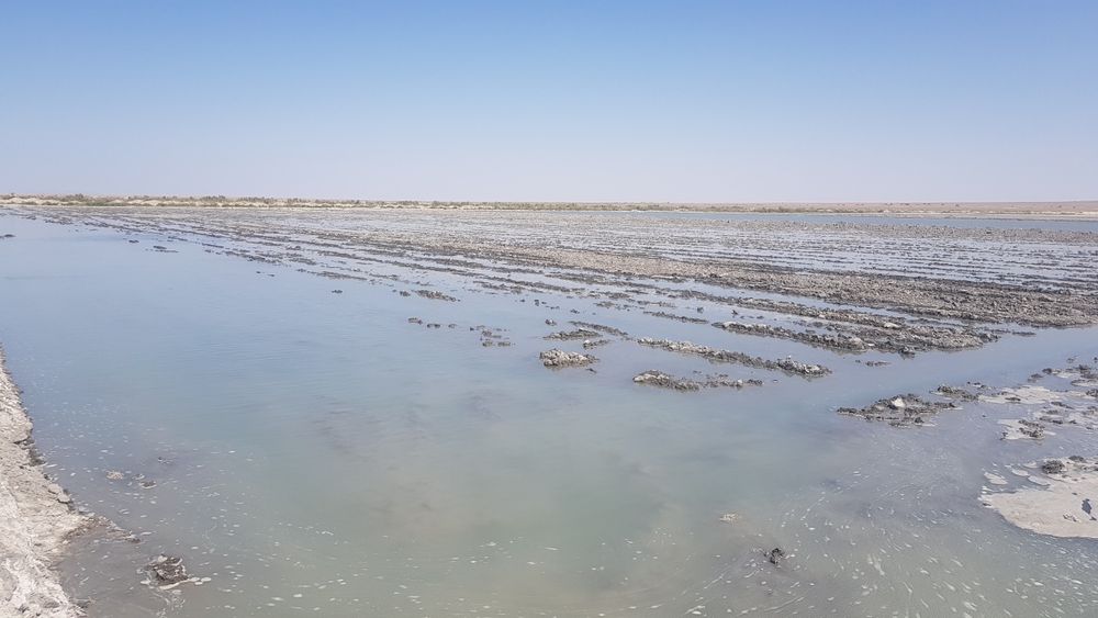 Ер ижарага берилади