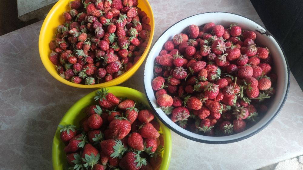 Продам ухоженную дачу