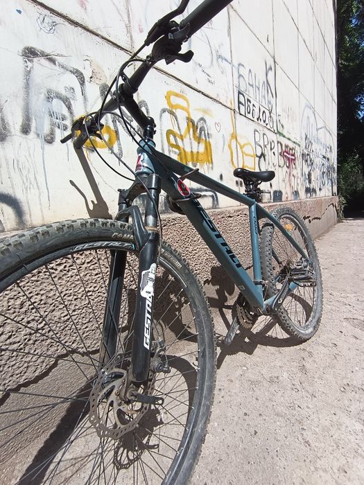 GESTALT 29-29 дюйм