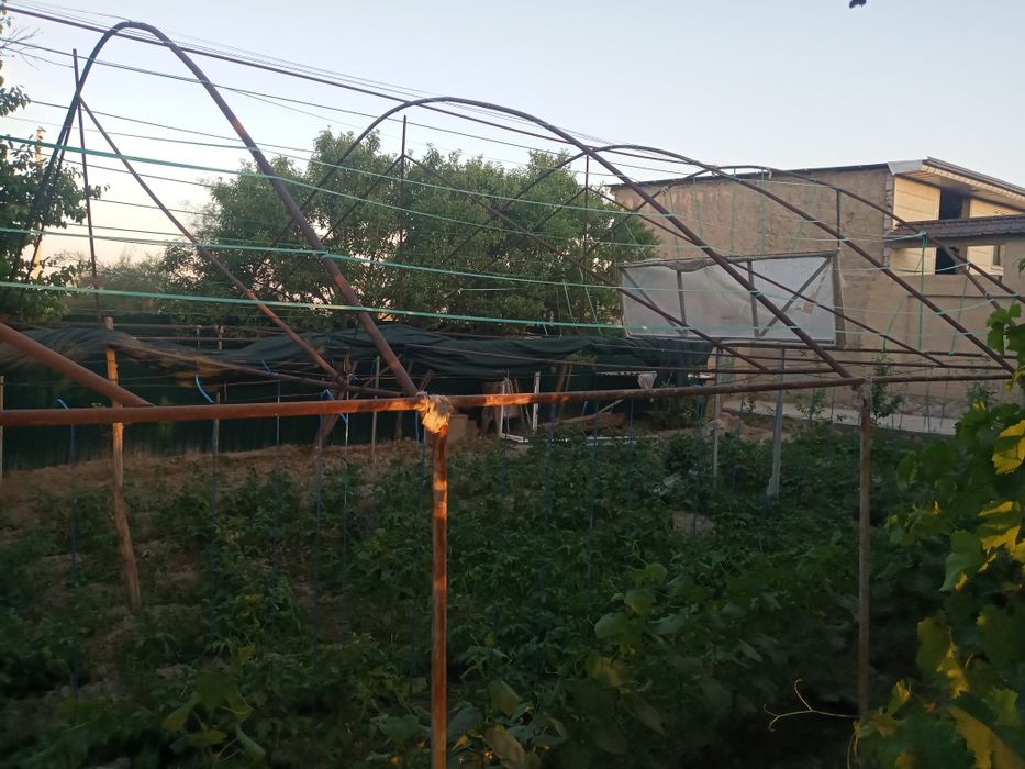 Parnik sotiladi Kogon Tumani