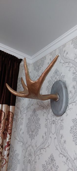 Продам оленя рога две штуки