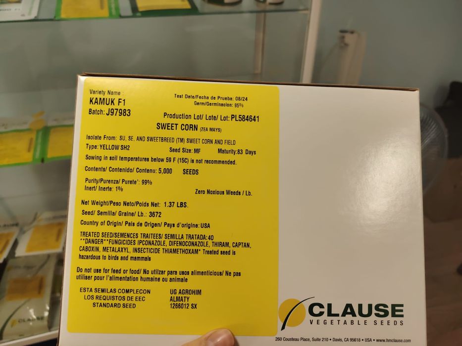 Жүгере ұрық семена кукурузы