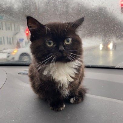 психолог консультант