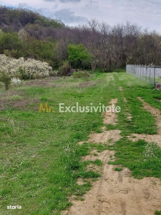 Teren Topoloveni - 3670 mp - langa padure, aproape de Centrul orasului