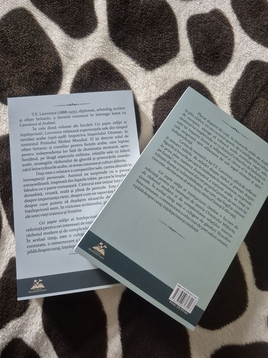 Cei 7 stâlpi ai înțelepciunii