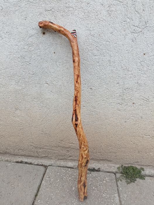 Сурвакарски бастуни  50лв броя