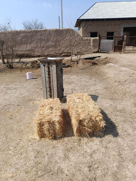 Diku somon pres sotiladi