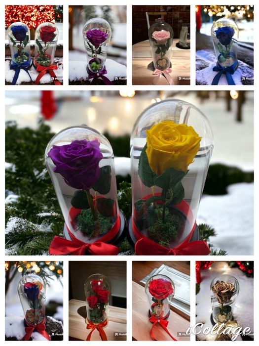 Trandafiri criogenati ursuleti in cutie cutii aranjament cadoul ideal