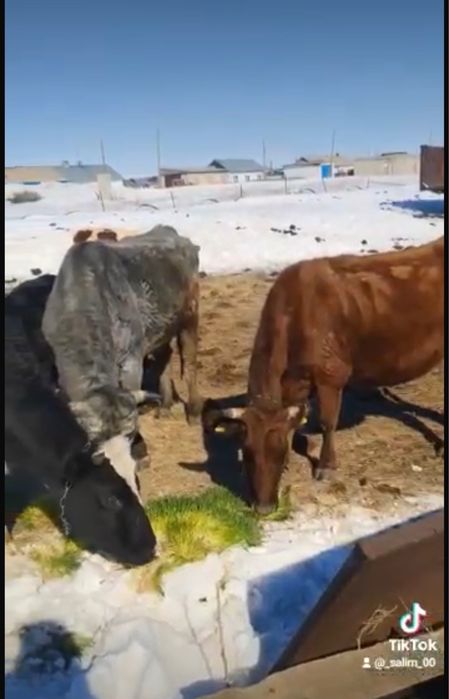 Бизнес в Караганде