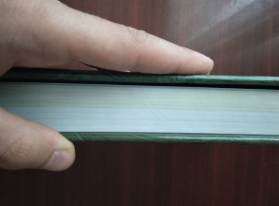 Alpomish kitob sotiladi