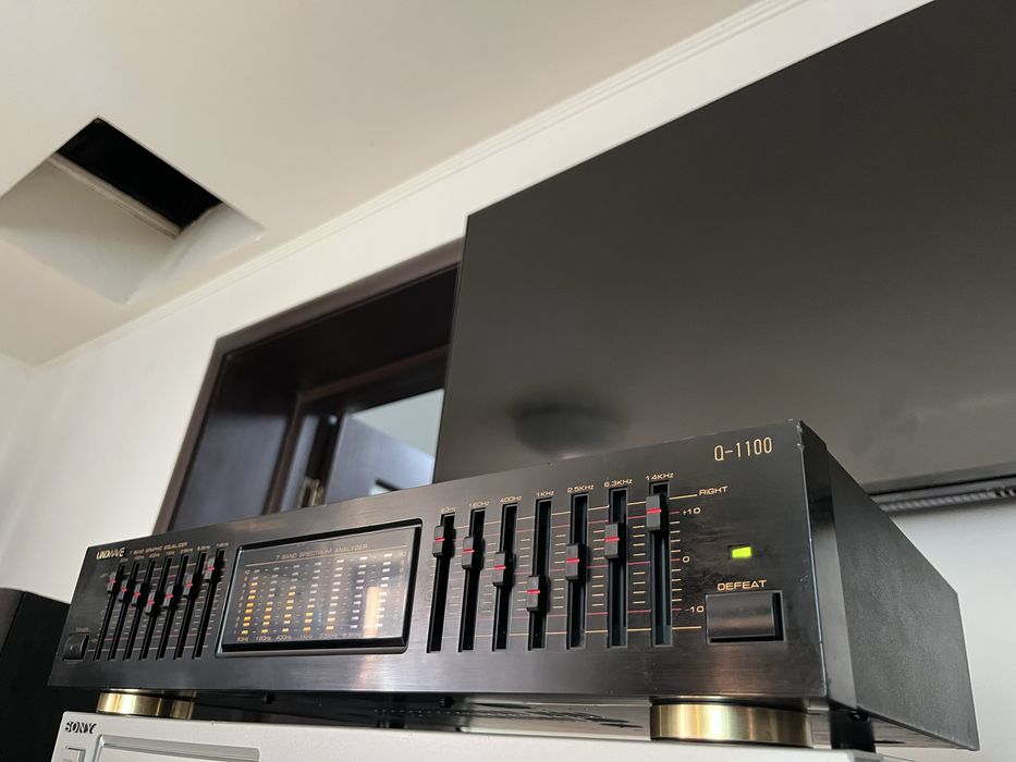 Egalizator/EQ Soundwave Q-1100