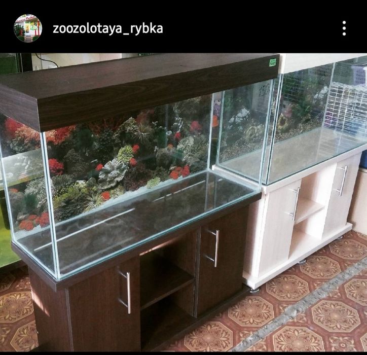 Новый Аквариум 237л