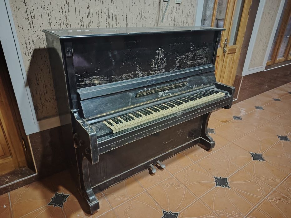 Pianino Kuban Krasnodar