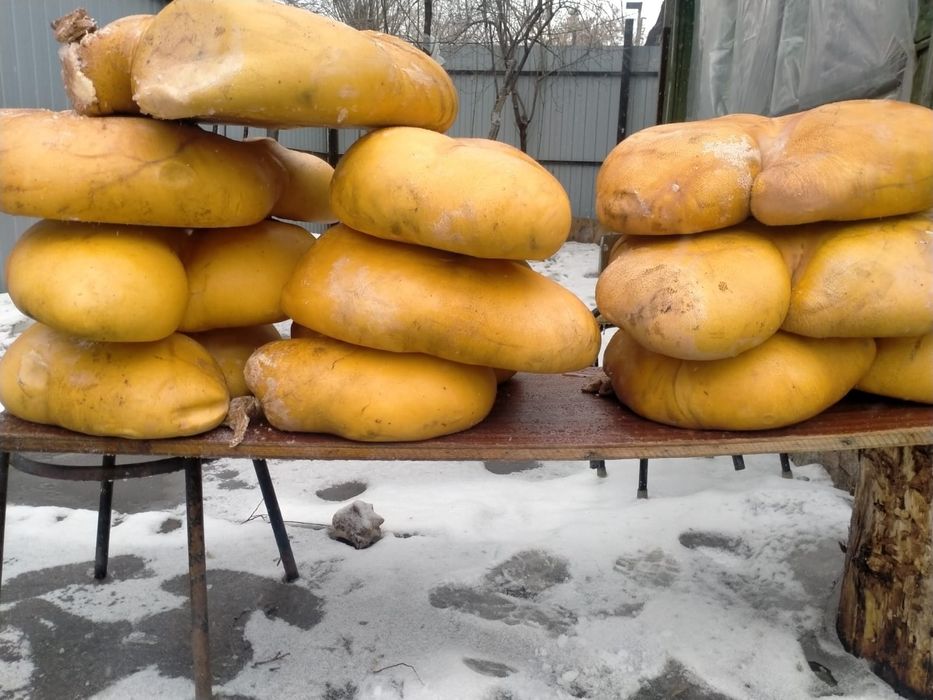 Продам Масло домашнее оптом по 3000