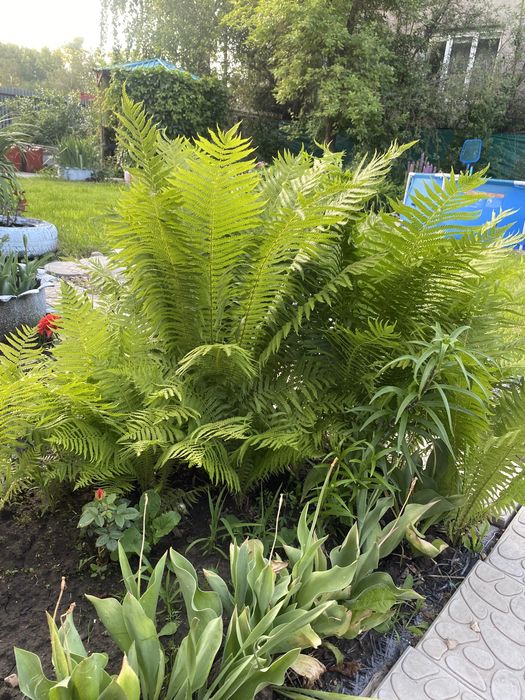 Продам дом район Аэропорт