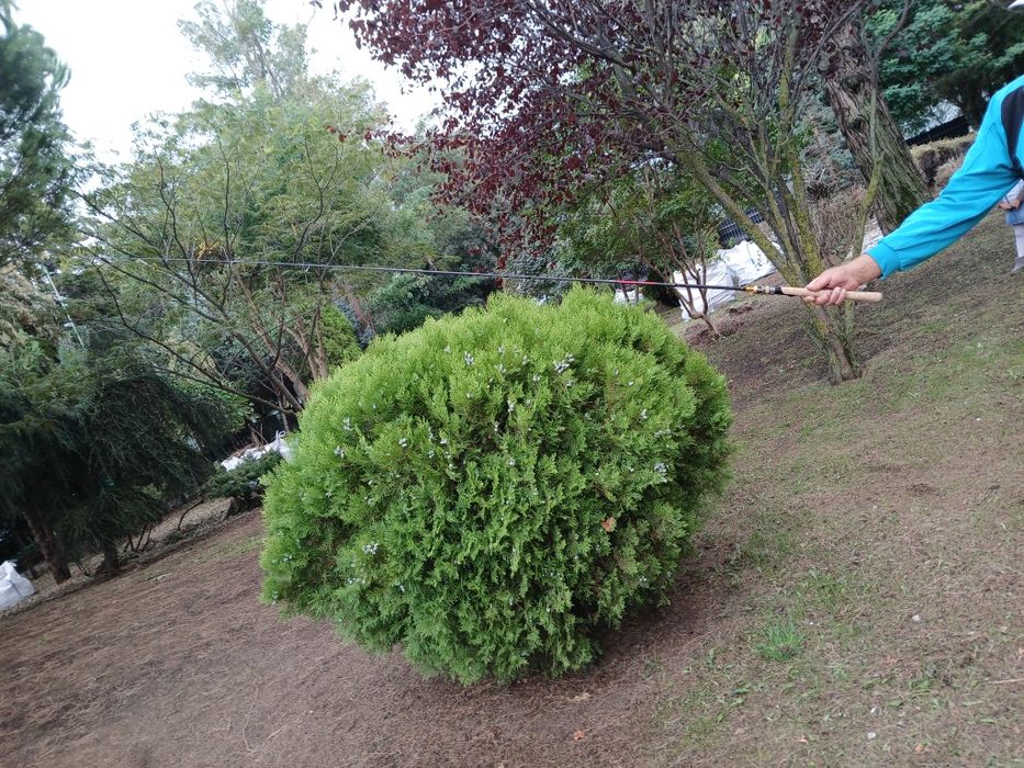 Продавам спининг Shimano акция 3 15 2.40 м