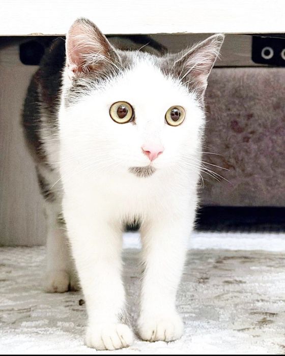 Мальчик 6 месяцев