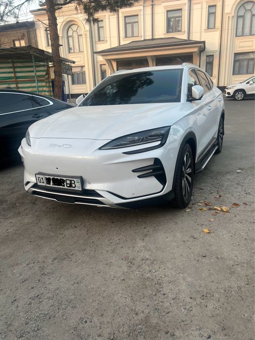 BYD champion  . 2023 год 605 краска чистая . тозза