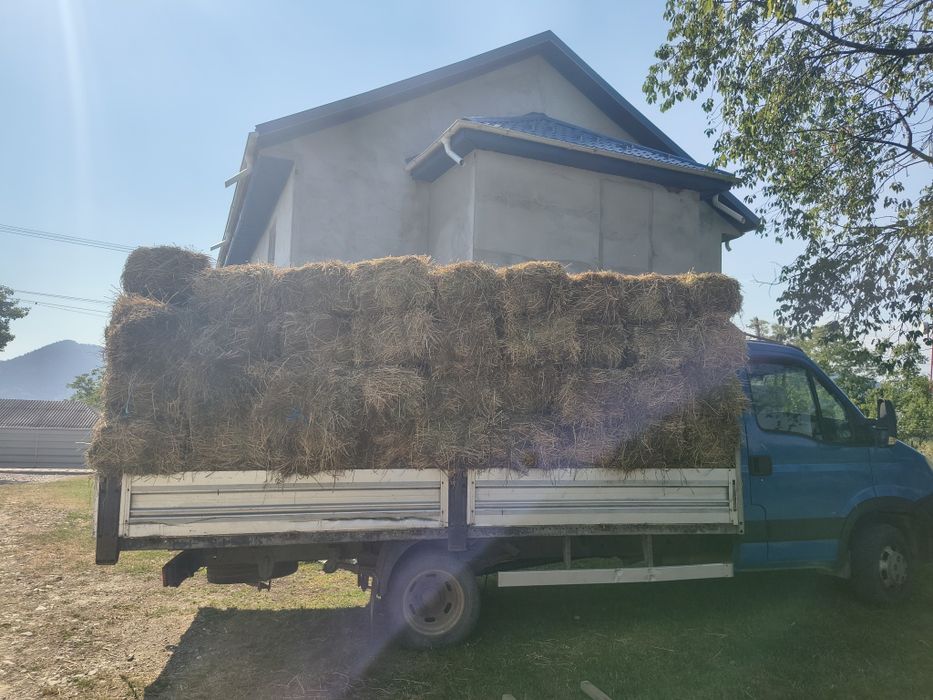 Baloti de lucerna de vânzare! 20 de lei balotul , asigur transport în toată Vrancea