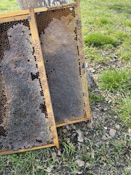 Пчелни рамки Дадан блат ПЛОДНИКОВИ