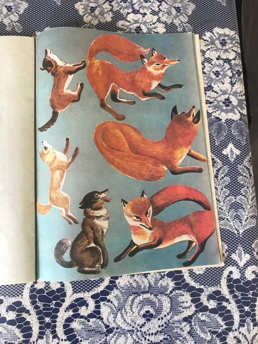 Детски книги - книги игри