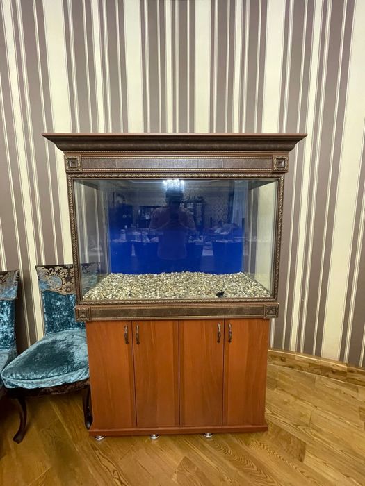 Аквариум обьемом 200-250 литров