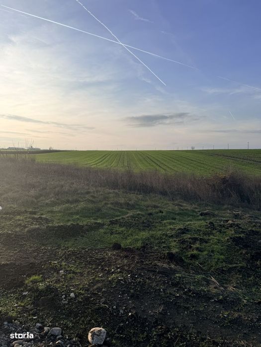 Teren De Vanzare Belciugatele