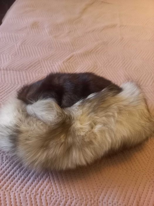 Caciula blana naturala vulpe argintie pe margine