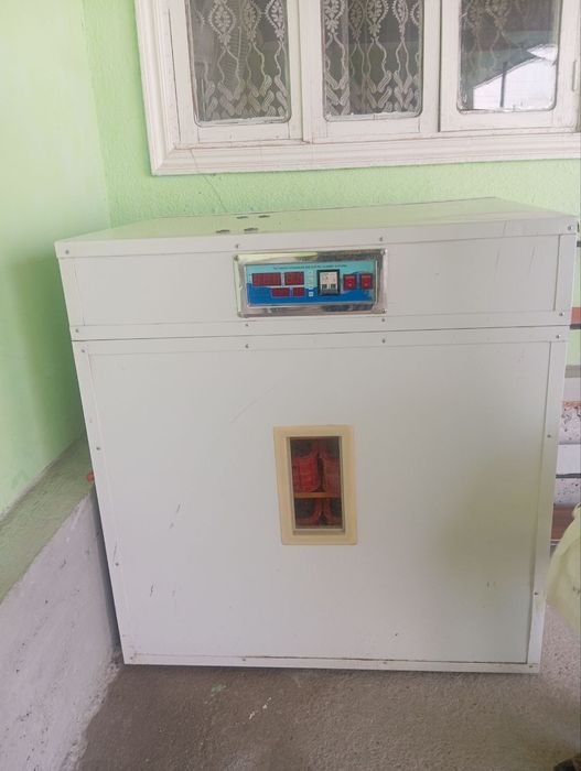 Inkubator. 600ta tuxum qoyiladi