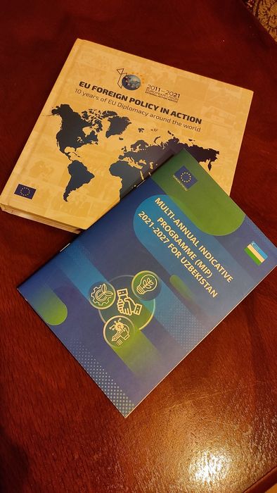 Зарубежная Книга, EU Foreign Policy in Action.