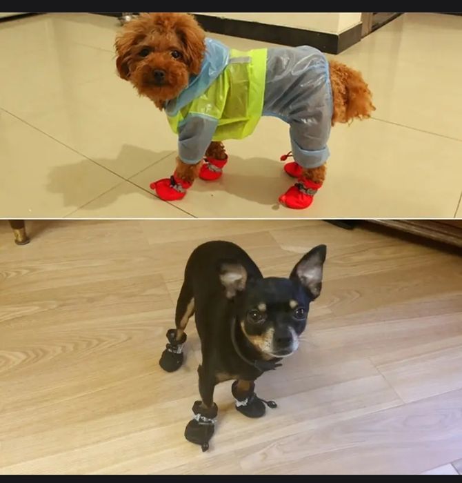 Обувь для животных сапожки для собак обувь для собак валенки для собак