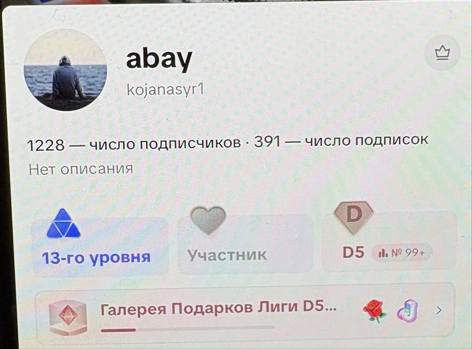 Тик ток аккаунт 13 уровень D лига