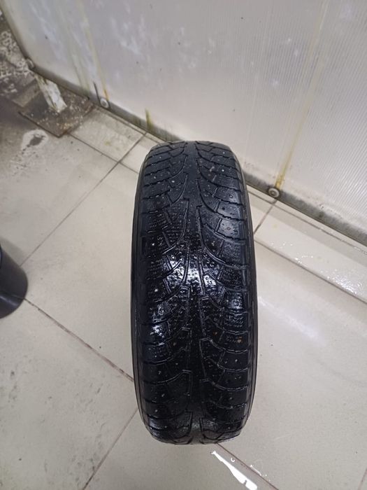 Шина зимняя с шипами 1