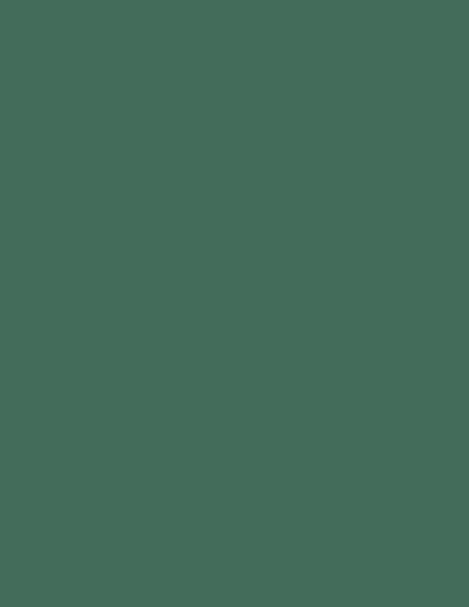Colorama fundal foto verde Spurce Green 2,72 x 11m
