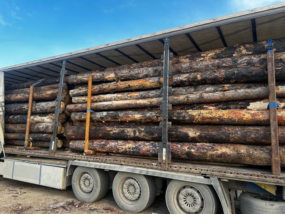 гарбиль, отын агаш тегин