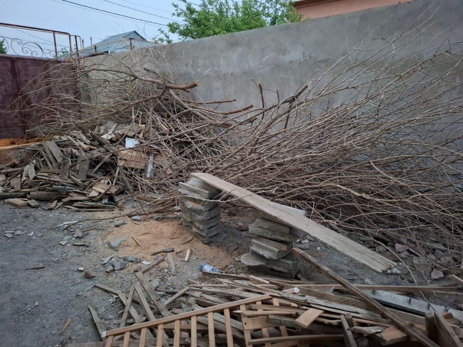 Кебу шабылып койган